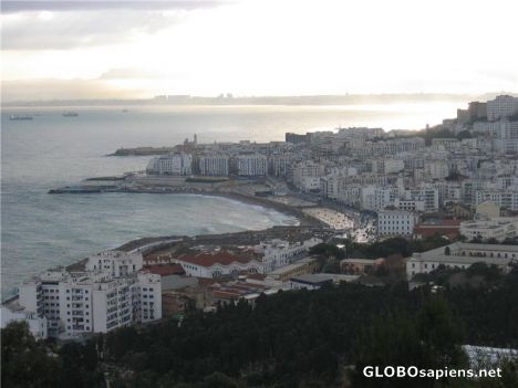 Postcard The Bay at Algiers
