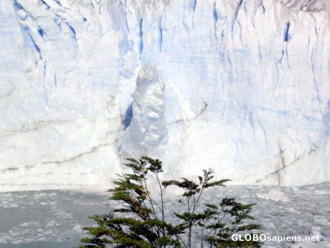 Postcard Ice loosening in Perito Moreno Glaciar