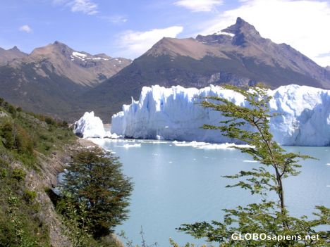 Postcard Perito Moreno Glacier 14