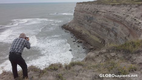 Postcard Sea lion's colony under the cliff