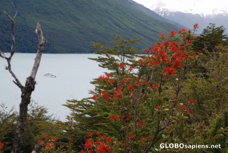 Postcard patagonian beauty