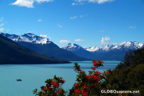 Postcard Lago Argentino