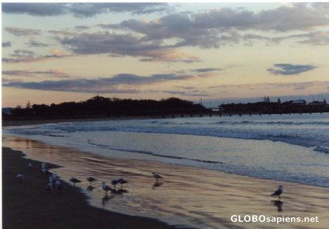 Postcard Seagulls, sunrise and surf