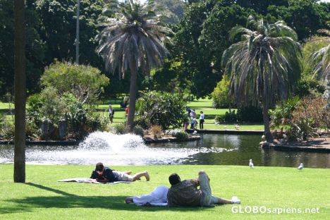 Postcard Royal Botanical gardens