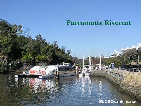 Postcard The Parramatta Rivercat