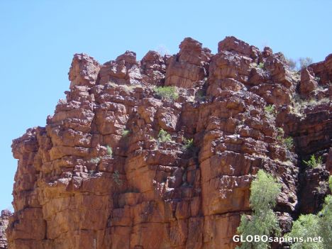 Postcard Alice Springs - Trephina gorge