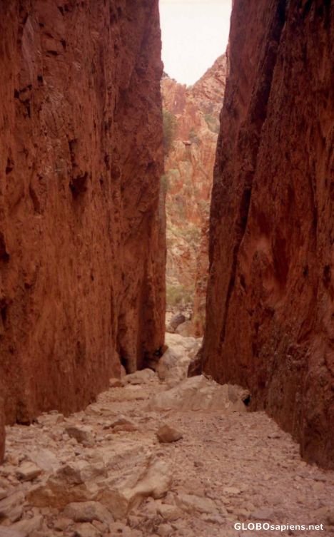 The high walls of Stanley Chasm