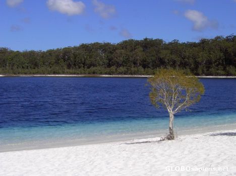 Postcard Fraser Island, Australia