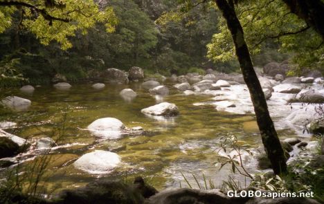 The calm waters of Mossman Gorge