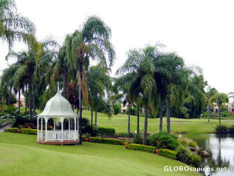 Postcard Gold Coast - Palm Meadows Golf