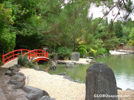 Postcard Nice Japanese Lanscaped Garden - Auburn