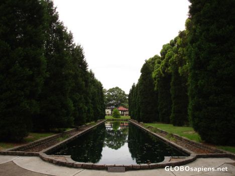 Postcard A reflection pool - Auburn Botanical Garden