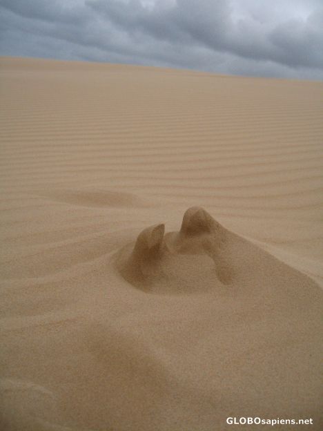 Postcard sand formation on dunes at Stockton beach