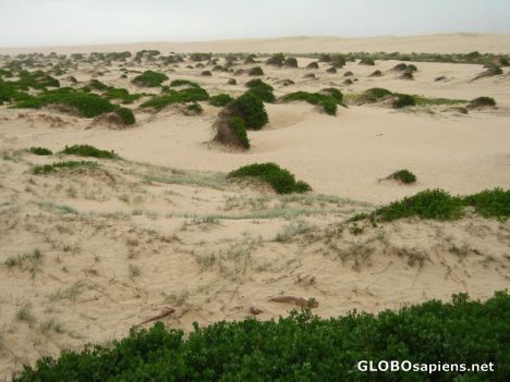 Postcard sand dunes