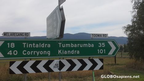 Postcard Did you hear about Tumbarumba??