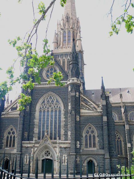Postcard St Patricks Cathedral