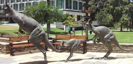 Postcard Kangaroo monument