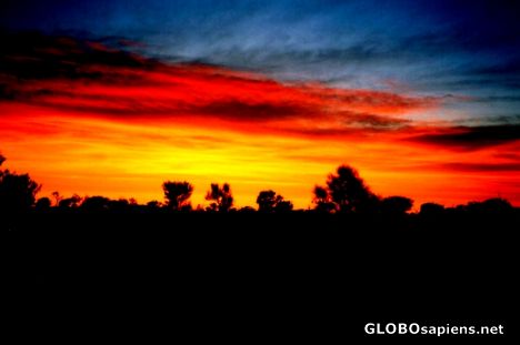 Postcard Sunset over Desert Oak's