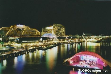 Postcard sydney's darling harbour at night