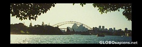 Postcard Sydney Harbour