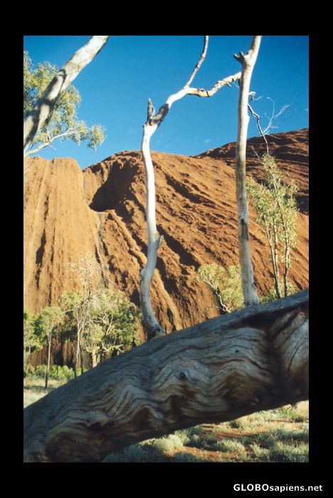 Postcard Uluru