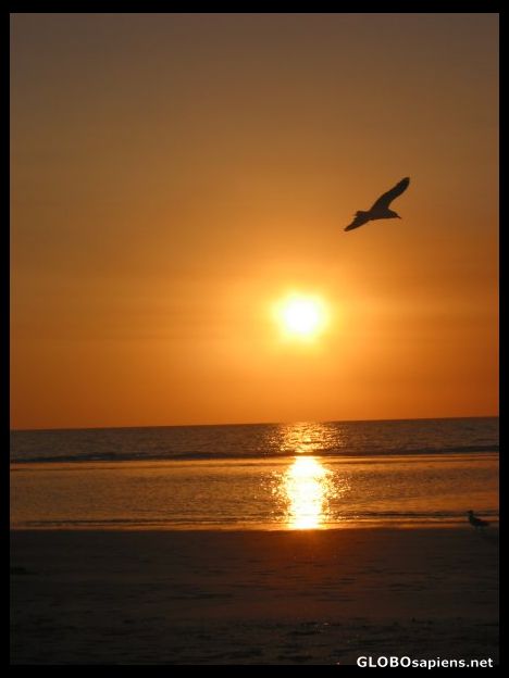 Postcard Sunset at Casuarina Beach