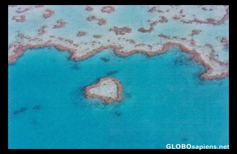 Postcard Heart Reef