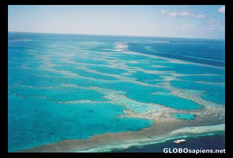 Postcard View of The Great Barrier Reef