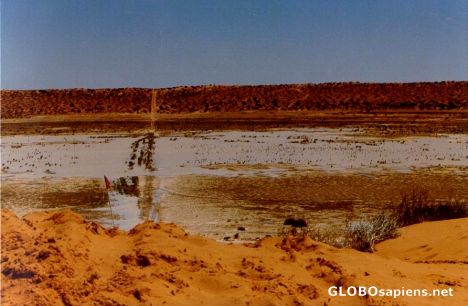 Postcard Simpson Desert