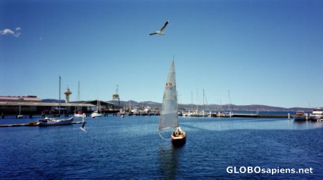 Harbour - Hobart Tasmania