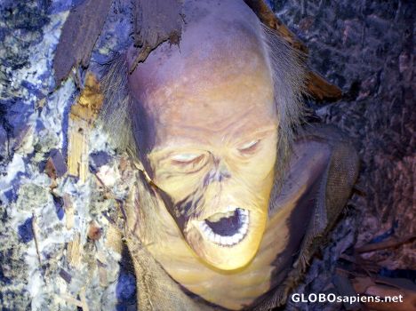 'Mommified man' found in the Salt Mines