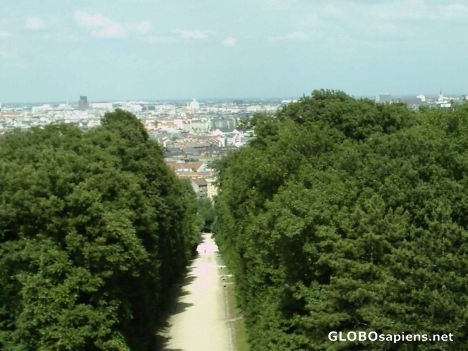 Postcard Views of Vienna