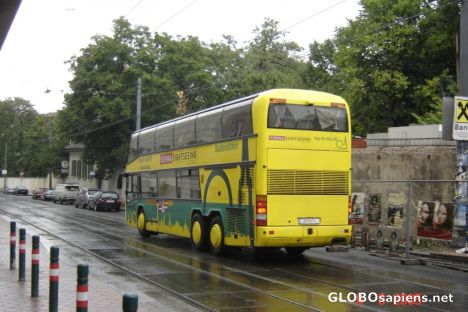 Postcard vienna tourist bus