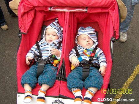 Postcard cutest twins
