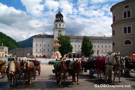 Postcard Salzburg (AT) - horses at the Residenzplatz