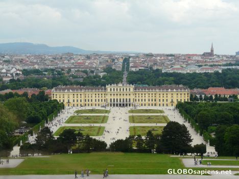 Postcard Vienna and Schonbrunn from Gloriette