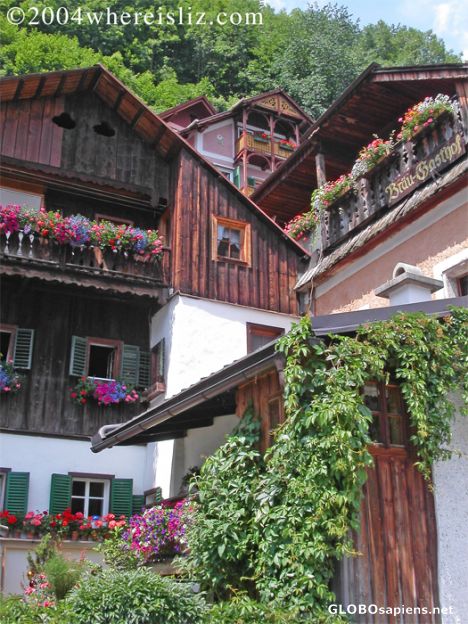 Postcard Woodframes and Windowboxes, Hallstatt, Austria