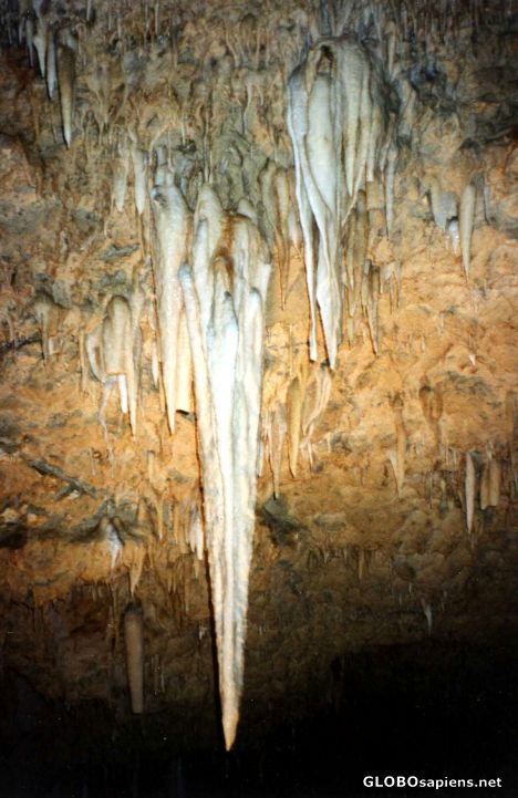 Postcard Harrison Caves Stalactites
