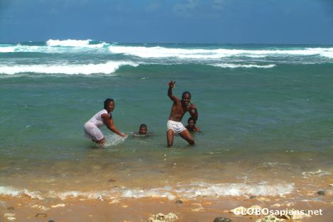 Postcard Bathsheba Beach (BB) - Locals in the ocean