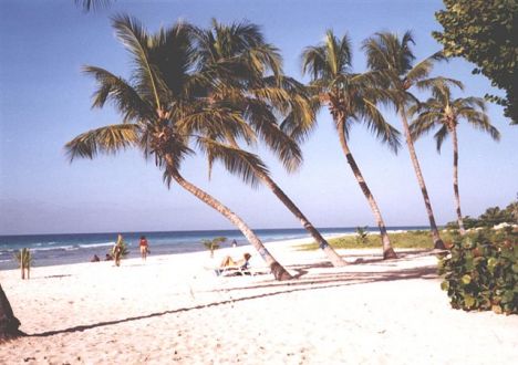 Postcard Beach at Coconut Court in Barbados