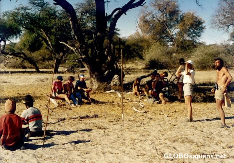 Postcard Okavango's Chiefs Island