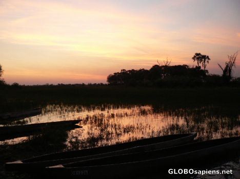 Postcard Sunset in the Okavango Delta