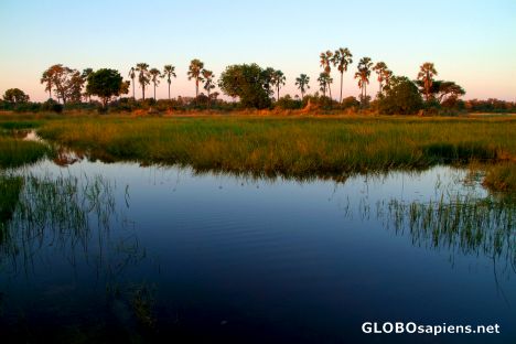 Postcard Okavango Delta - Water Avenues