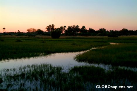 Postcard Okavango Delta - Sunset