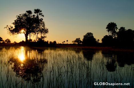 Postcard Okavango Delta - The end of the day