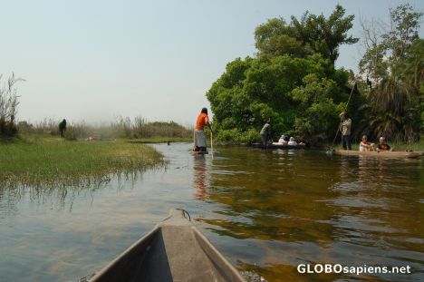 Postcard Okavango Delta