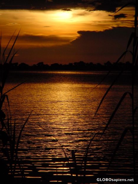 Postcard Chobe sunset.