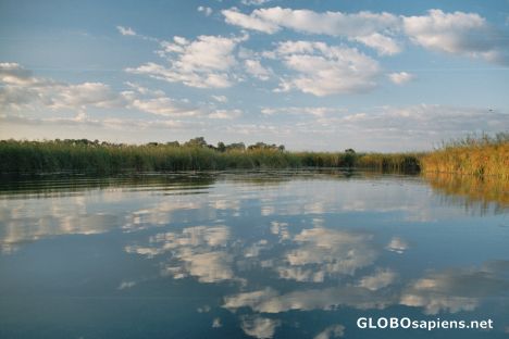 Postcard Reflection in Okovango Delta