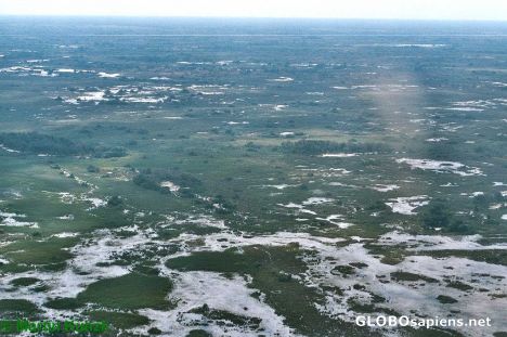 Postcard Aerial view of the Okovango Delta