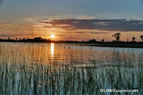 Sunset over the Okovango Delta